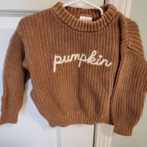 Little Co. Lauren Conrad Gender Neutral Fall Pumpkin Sweater 3t Halloween